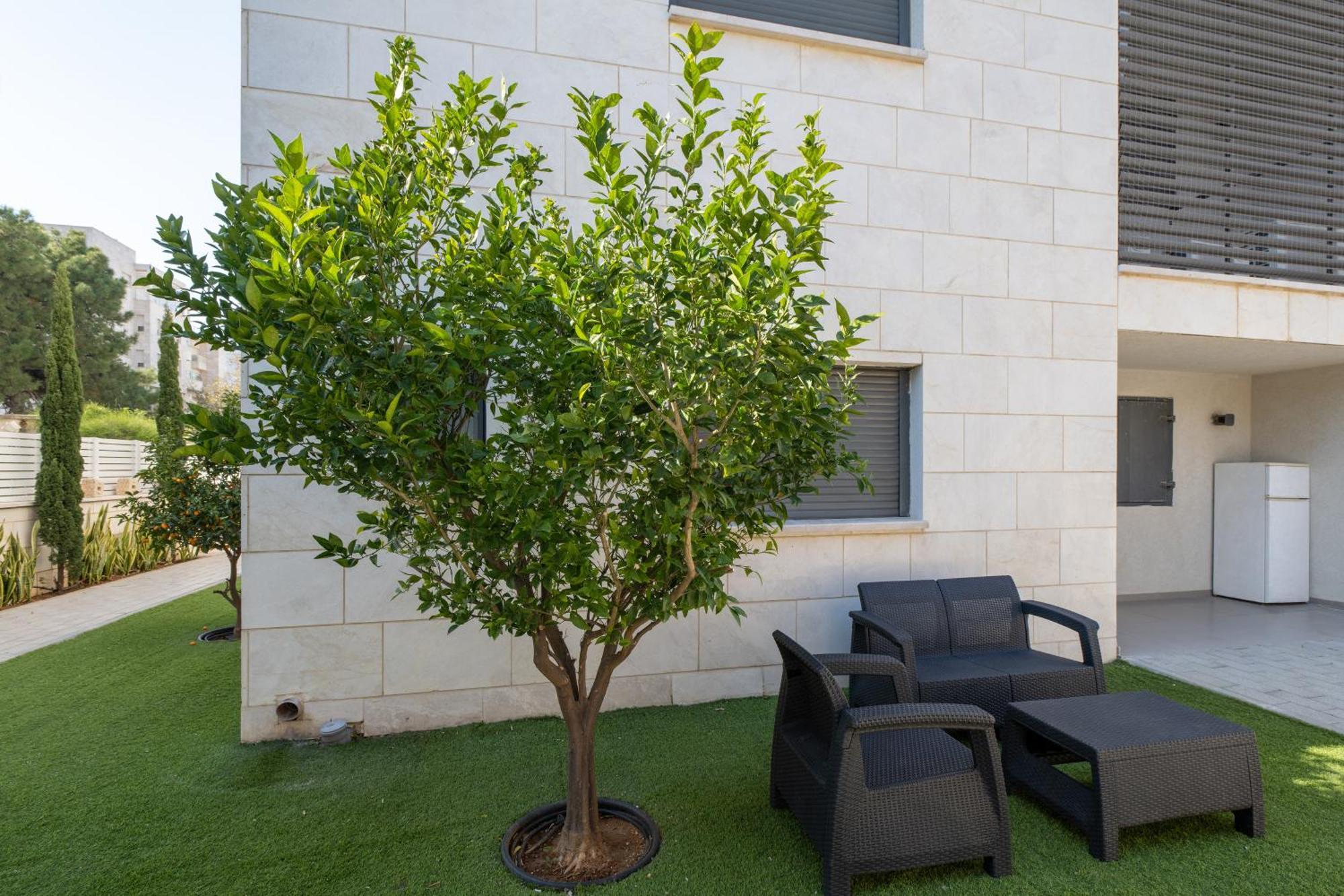 Balfour Sea View City Center Nahariya Eksteriør billede